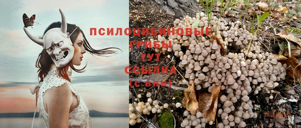 мет Семёнов