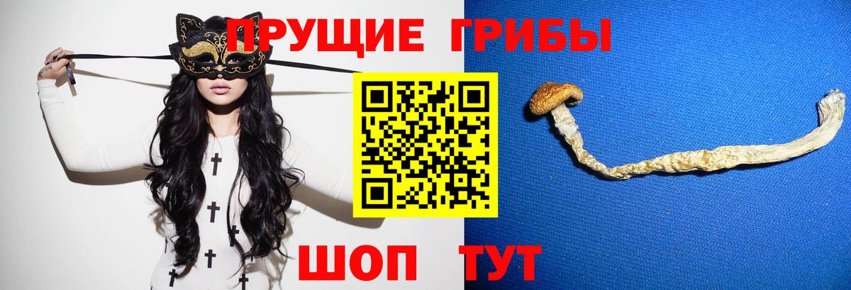 Псилоцибиновые грибы ЛСД Строитель