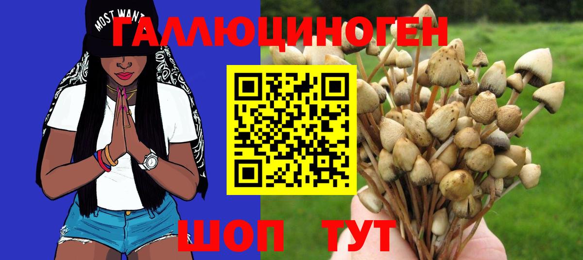 Строитель  Псилоцибиновые грибы Psilocybe  Галлюциногенные грибы Psilocybine cubensis  цена   Вход с VPN 